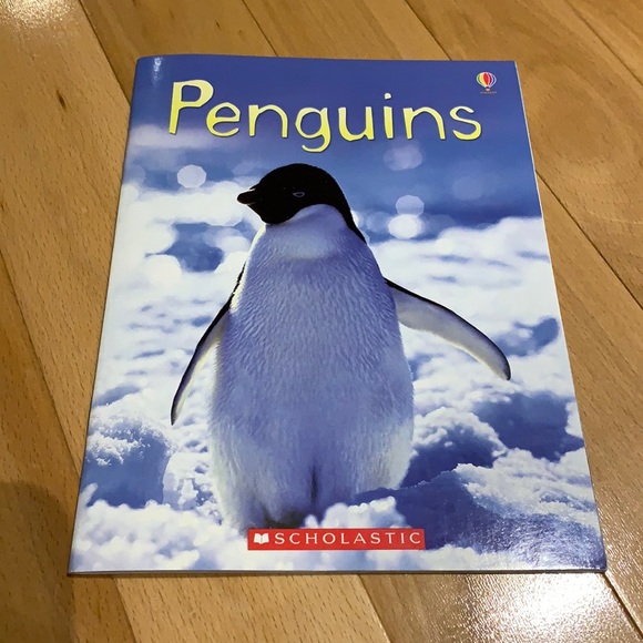 ✏️🆓 FREE with $20 purchase - 2 Scholastic Animal books - Penguins & Bears - Picture 3 of 9